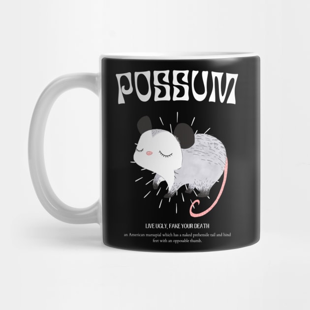 Possum by burlytx